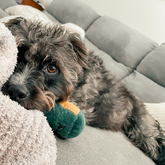 Meet your Posher, Becca (she/her) - Picture 4 of 9